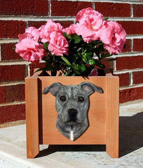 Staffordshire Terrier Planter Box