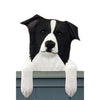 Wood Carved Border Collie Dog Door Topper - Black Shugar Plums Gift Store