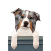Wood Carved Border Collie Dog Door Topper - Red Merle Shugar Plums Gift Store