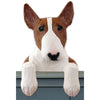 Wood Carved Bull Terrier Dog Door Topper - Red/White Shugar Plums Gift Store