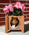 Handmade Collie Dog Planter Box - Sable Shugar Plums Gift Store