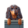 Wood Carved Dachshund (longhaired) Dog Door Topper - Red Dapple Shugar Plums Gift Store