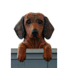 Wood Carved Dachshund Dog Door Topper - Red Shugar Plums Gift Store
