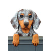 Wood Carved Dachshund Dog Door Topper - Red Dapple Shugar Plums Gift Store