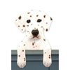 Wood Carved Dalmatian Dog Door Topper - Liver Shugar Plums Gift Store