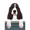 Wood Carved English Springer Spaniel Dog Door Topper - Liver Shugar Plums Gift Store