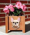 Handmade French Bulldog Dog Planter Box - Fawn Shugar Plums Gift Store