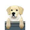 Wood Carved Golden Retriever Dog Door Topper - Cream Shugar Plums Gift Store