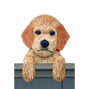 Golden Doodle Gifts Dog Sign - Light Shugar Plums Gift Store