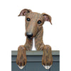 Door Topper - Wood Carved Greyhound - Brindle Shugar Plums Gift Store