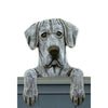Wood Carved Great Dane Dog Door Topper - Blue Shugar Plums Gift Store