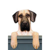 Wood Carved Great Dane Dog Door Topper - Fawn Shugar Plums Gift Store