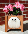 Handmade Pekingese Dog Planter Box - White Shugar Plums Gift Store