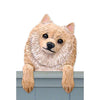 Wood Carved Pomeranian Dog Door Topper - Cream Shugar Plums Gift Store