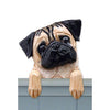Wood Carved Pug Dog Door Topper - Fawn Shugar Plums Gift Store