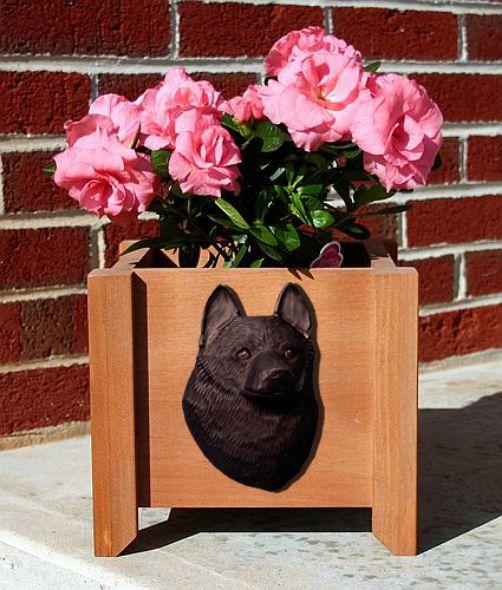 Handmade Schipperke Dog Planter Box