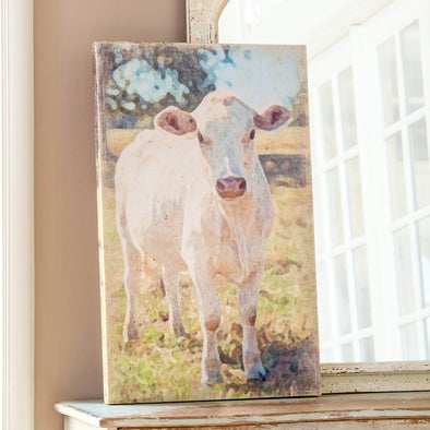 Charolais Cow Canvas Print - Shugar Plums Gift Store