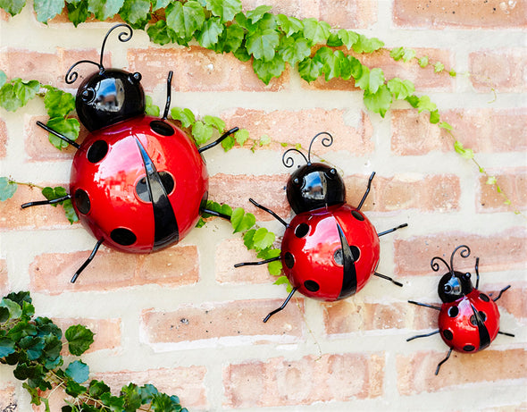 Wall Mountable Ladybug Set