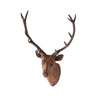 Mounted Red Deer Head - Shugar Plums Gift Store