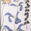 Set Of Two Botanical Prints - Shugar Plums Gift Store